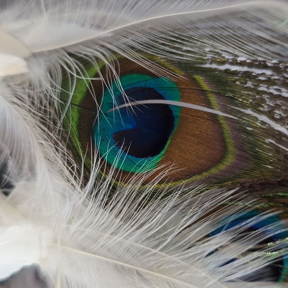 π²CHRISTMAS PEACOCK DECORATION π²π²π²π²π²π²π²π²π²π²π²π²π²π²π²π² - Picture 6 of 8